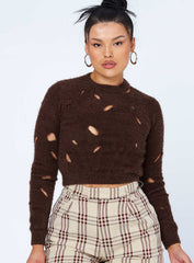 Astrella Sweater Jumper Brown